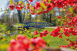 Fuchsienbrücke im Muskauer Park